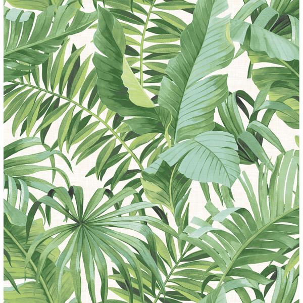 a street prints Alfresco Green Tropical Palm Wallpaper