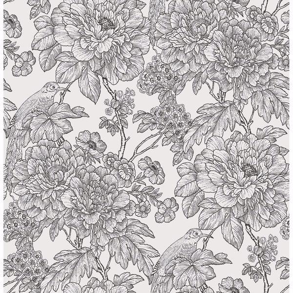 a street prints Birds of Paradise Breeze Black Floral Wallpaper