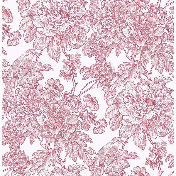 a street prints Birds of Paradise Breeze Red Floral Wallpaper
