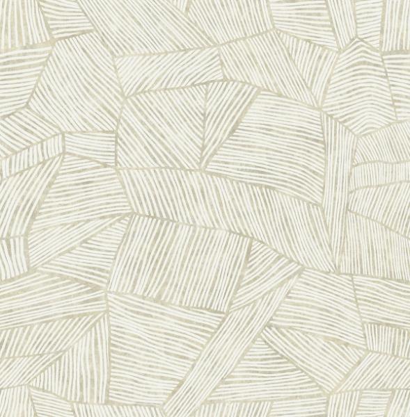 a street prints Aldabra Taupe Textured Geometric Wallpaper