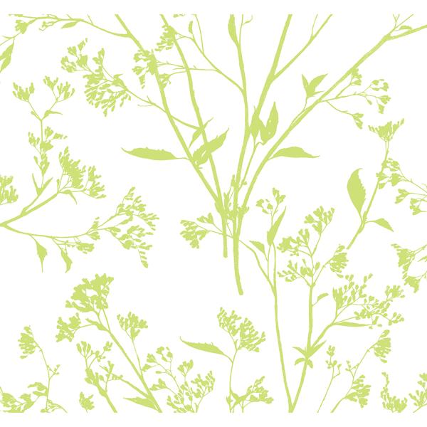 a street prints Southport Chartreuse Delicate Branches Wallpaper