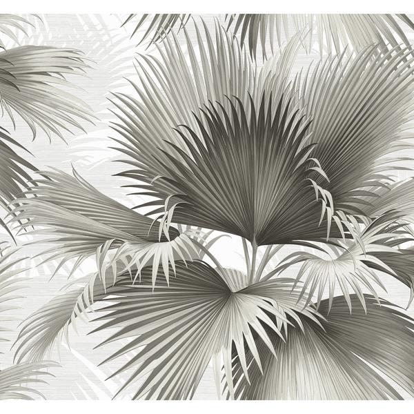 a street prints Summer Palm Charcoal Tropical Wallpaper
