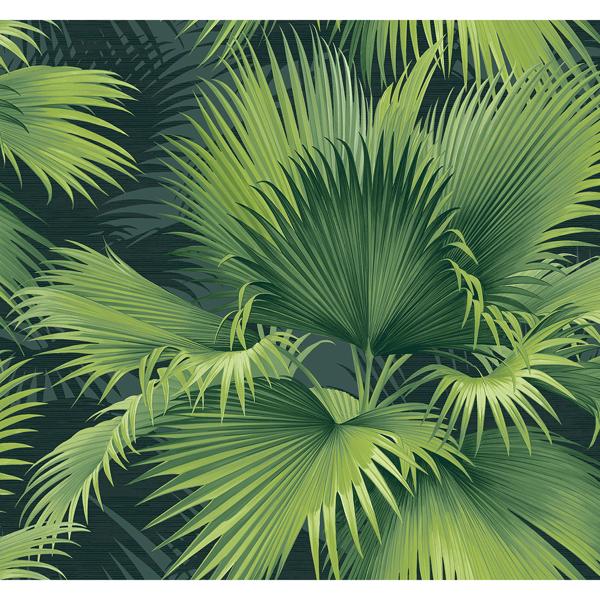 a street prints Summer Palm Dark Green Tropical Wallpaper