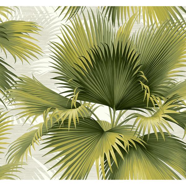 a street prints Summer Palm Green Tropical Wallpaper